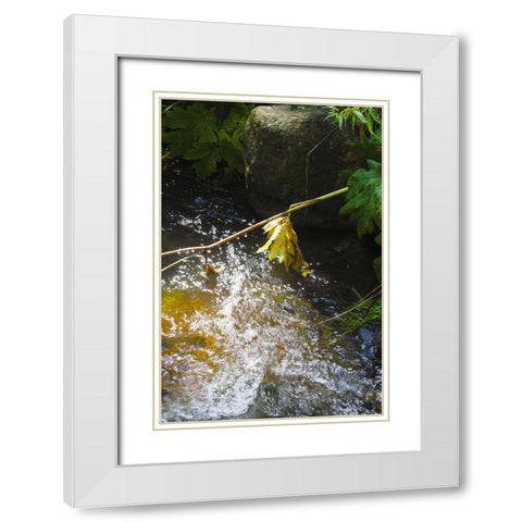 Riparian II White Modern Wood Framed Art Print with Double Matting by Popcorn