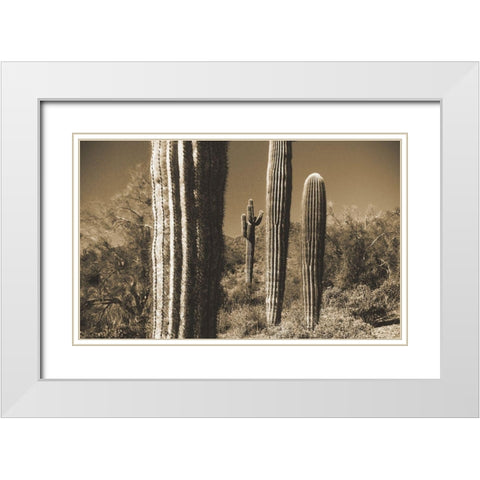 Desert Scape 13 White Modern Wood Framed Art Print with Double Matting by Popcorn