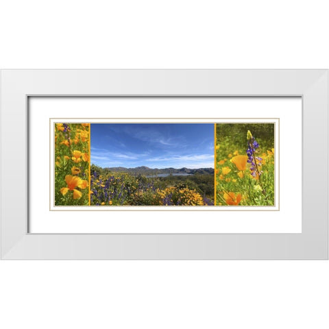 Wildflower Collage X White Modern Wood Framed Art Print with Double Matting by Popcorn