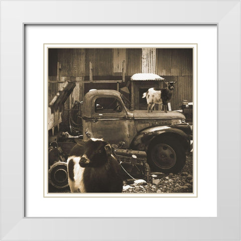 Junkyard D2: Sepia Goats White Modern Wood Framed Art Print with Double Matting by Popcorn
