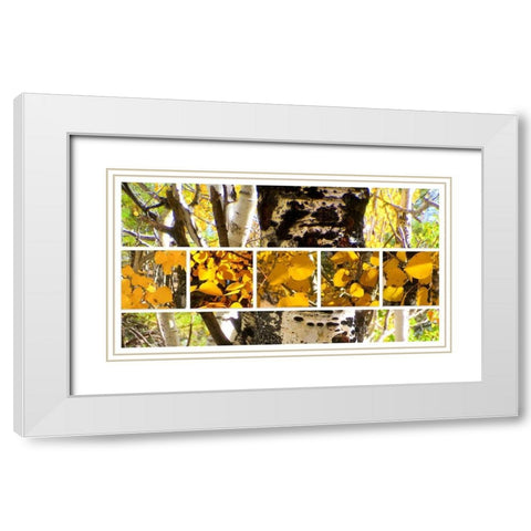 Aspens In The Fall 1 White Modern Wood Framed Art Print with Double Matting by Tenoever, William