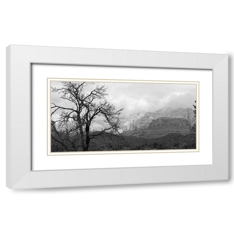 SedonaInWinter2:BAndW White Modern Wood Framed Art Print with Double Matting by Tenoever, William