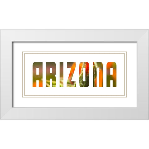 Arizona White Modern Wood Framed Art Print with Double Matting by Popcorn