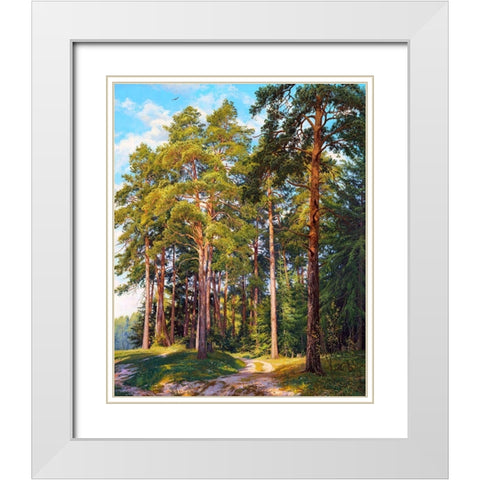 Ship pines White Modern Wood Framed Art Print with Double Matting by Basov, Sergej
