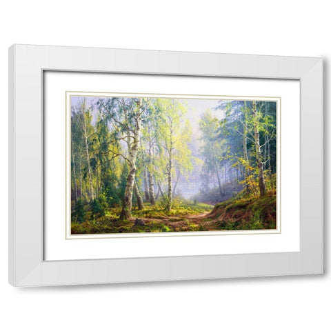 Morning at the birch forest White Modern Wood Framed Art Print with Double Matting by Basov, Sergej