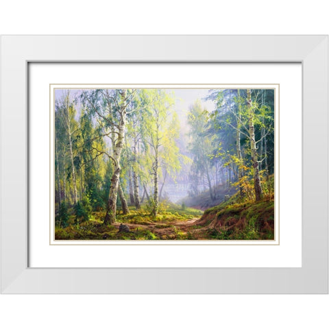 Morning at the birch forest White Modern Wood Framed Art Print with Double Matting by Basov, Sergej