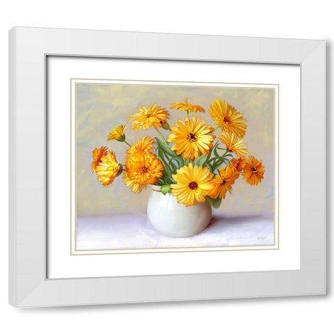 Calendula flowers White Modern Wood Framed Art Print with Double Matting by Buzin, Igor