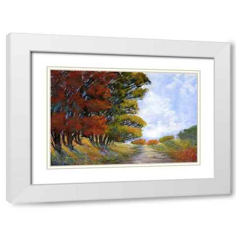 Golden Harmonies I White Modern Wood Framed Art Print with Double Matting by Tienhaara, Michael