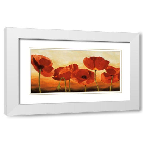 In the Sun White Modern Wood Framed Art Print with Double Matting by Kahn, Andrea