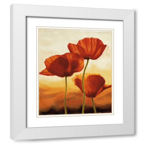 Poppies in Sunlight I White Modern Wood Framed Art Print with Double Matting by Kahn, Andrea