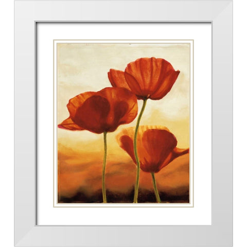 Poppies in Sunlight I White Modern Wood Framed Art Print with Double Matting by Kahn, Andrea