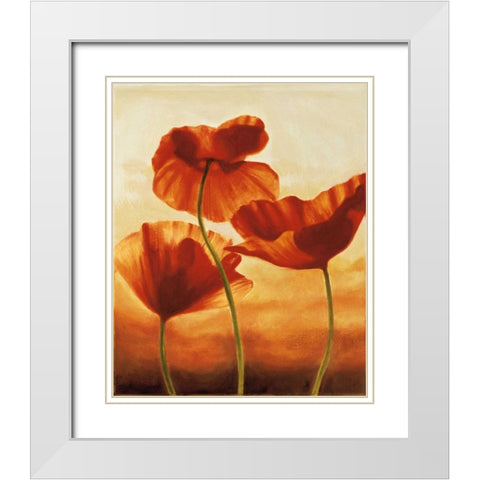 Poppies in Sunlight II White Modern Wood Framed Art Print with Double Matting by Kahn, Andrea