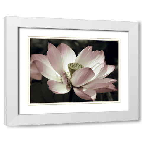 The Blossom White Modern Wood Framed Art Print with Double Matting by Neuwirth, Andy