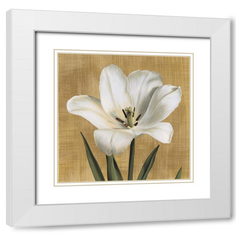 Tulipano White Modern Wood Framed Art Print with Double Matting by Trivelli, Andrea