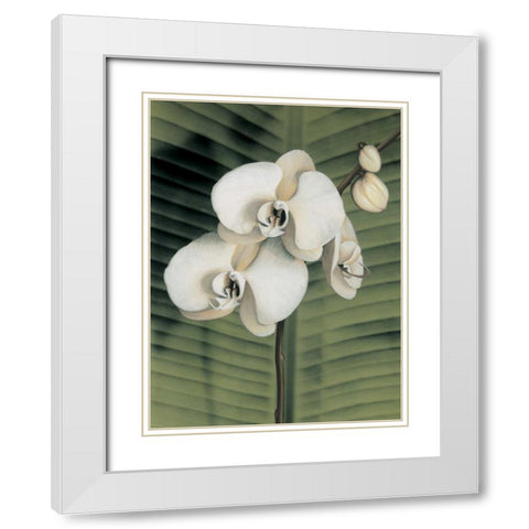 Orchid with Palm II White Modern Wood Framed Art Print with Double Matting by Trivelli, Andrea