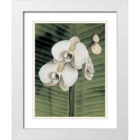 Orchid with Palm II White Modern Wood Framed Art Print with Double Matting by Trivelli, Andrea