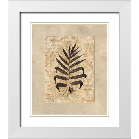 Fern II White Modern Wood Framed Art Print with Double Matting by Weaver, Amy