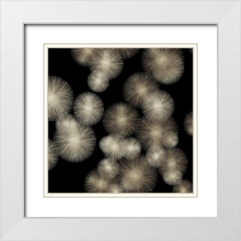 Pewter Sunbursts White Modern Wood Framed Art Print with Double Matting by Young, Abby