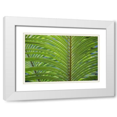 Leaf Pattern White Modern Wood Framed Art Print with Double Matting by Markoff, Barbara