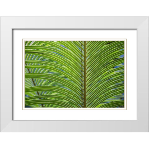 Leaf Pattern White Modern Wood Framed Art Print with Double Matting by Markoff, Barbara