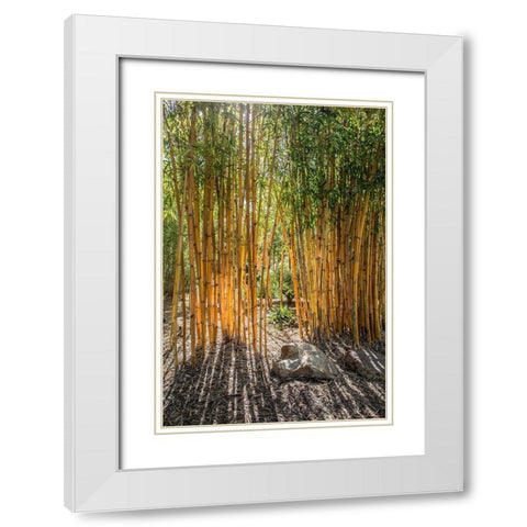 Bamboo White Modern Wood Framed Art Print with Double Matting by Markoff, Barbara