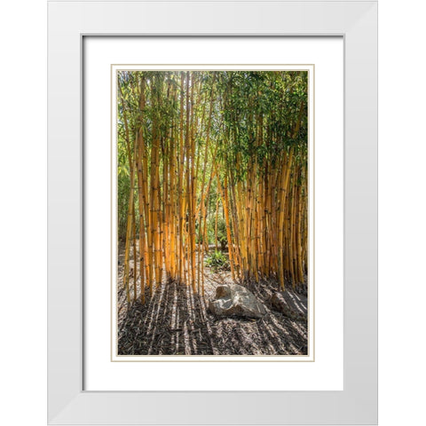 Bamboo White Modern Wood Framed Art Print with Double Matting by Markoff, Barbara