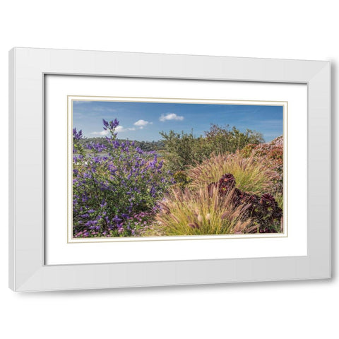 Spring Colors at Lagoon White Modern Wood Framed Art Print with Double Matting by Markoff, Barbara