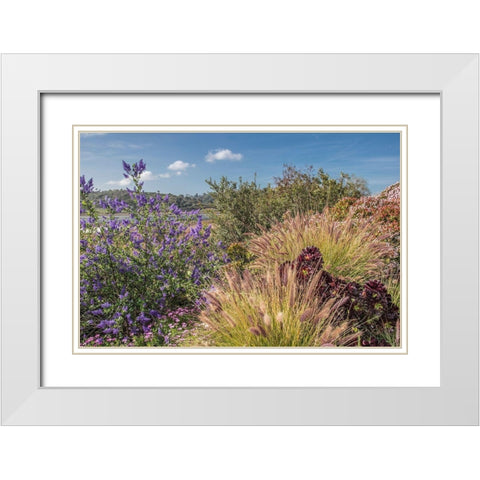 Spring Colors at Lagoon White Modern Wood Framed Art Print with Double Matting by Markoff, Barbara