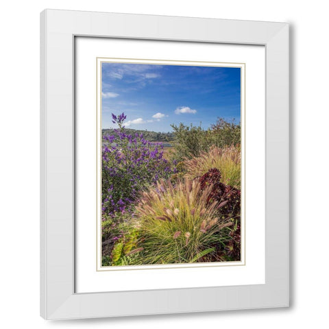 Spring at Lagoon White Modern Wood Framed Art Print with Double Matting by Markoff, Barbara
