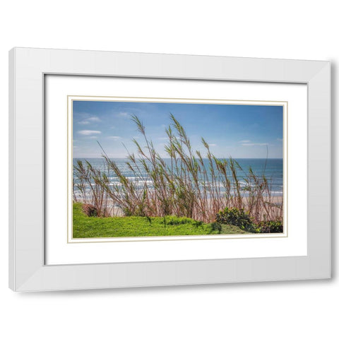 Grasses at Seagrove Park White Modern Wood Framed Art Print with Double Matting by Markoff, Barbara