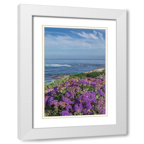 Static Blooms at Beach White Modern Wood Framed Art Print with Double Matting by Markoff, Barbara