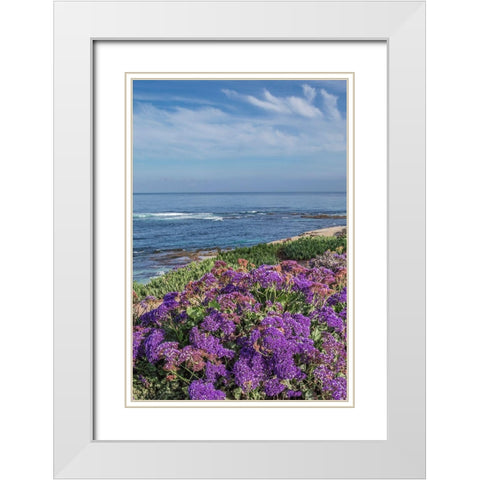 Static Blooms at Beach White Modern Wood Framed Art Print with Double Matting by Markoff, Barbara