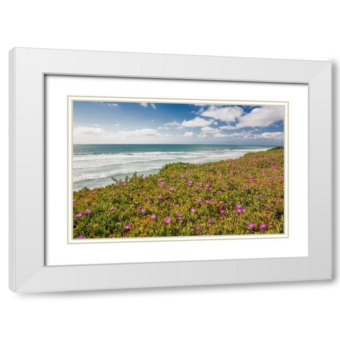 Blooming Ice Plants, Del Mar White Modern Wood Framed Art Print with Double Matting by Markoff, Barbara