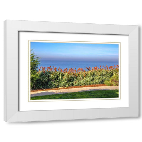 Walkway with Red Aloe White Modern Wood Framed Art Print with Double Matting by Markoff, Barbara