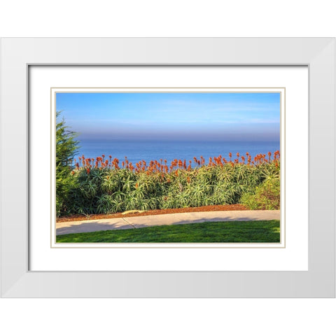 Walkway with Red Aloe White Modern Wood Framed Art Print with Double Matting by Markoff, Barbara