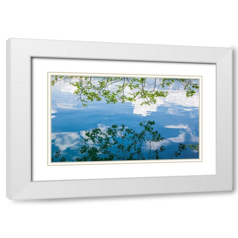 Branch Reflections I White Modern Wood Framed Art Print with Double Matting by Markoff, Barbara
