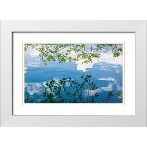 Branch Reflections I White Modern Wood Framed Art Print with Double Matting by Markoff, Barbara