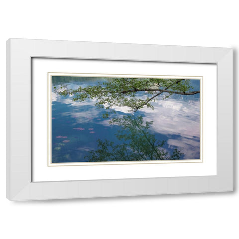 Branch Reflectons II White Modern Wood Framed Art Print with Double Matting by Markoff, Barbara