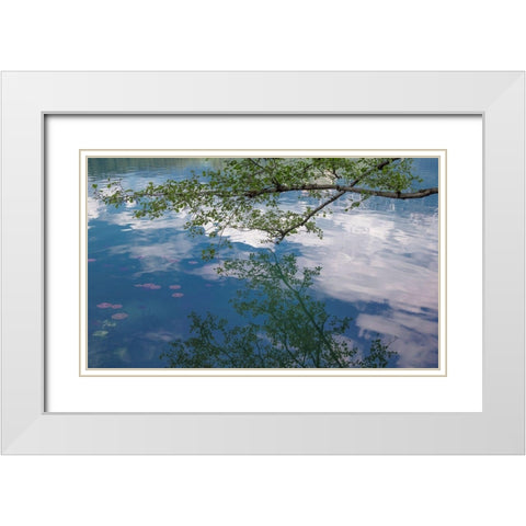 Branch Reflectons II White Modern Wood Framed Art Print with Double Matting by Markoff, Barbara