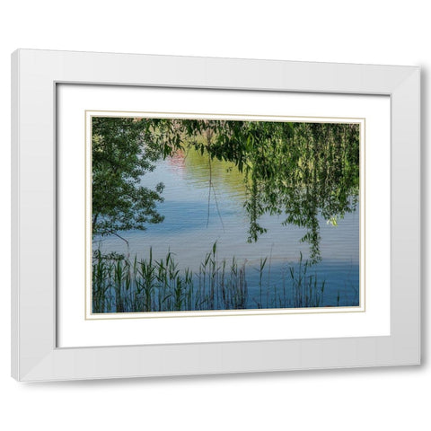 Grasses and Leaves White Modern Wood Framed Art Print with Double Matting by Markoff, Barbara