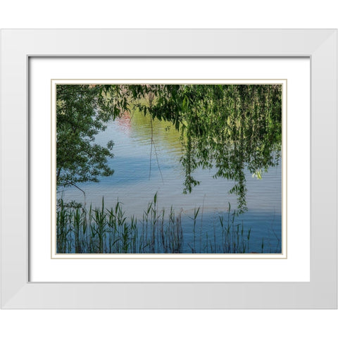 Grasses and Leaves White Modern Wood Framed Art Print with Double Matting by Markoff, Barbara