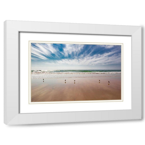 Birds on Beach, Del Mar White Modern Wood Framed Art Print with Double Matting by Markoff, Barbara