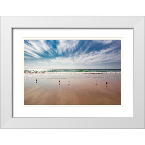 Birds on Beach, Del Mar White Modern Wood Framed Art Print with Double Matting by Markoff, Barbara