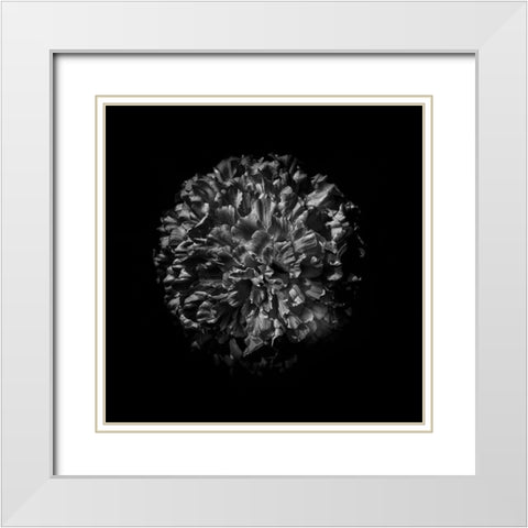 Black And White Mum V White Modern Wood Framed Art Print with Double Matting by Carson, Brian