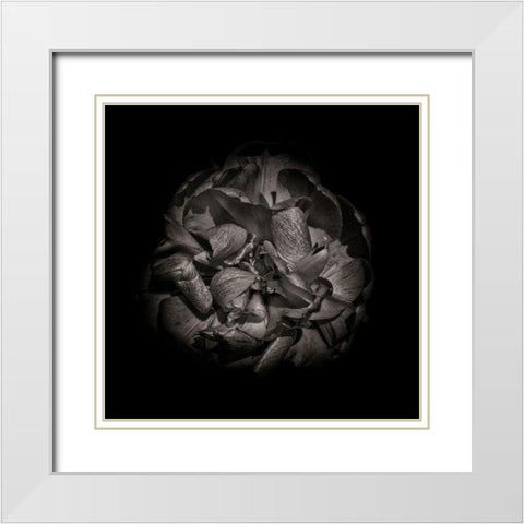 Black And White Peony I White Modern Wood Framed Art Print with Double Matting by Carson, Brian