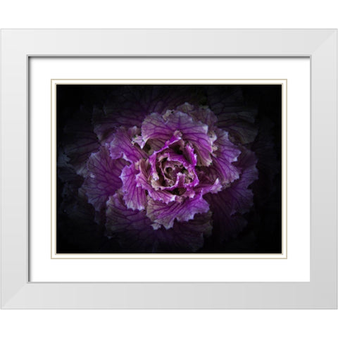 Flowering Cabbage II White Modern Wood Framed Art Print with Double Matting by Carson, Brian