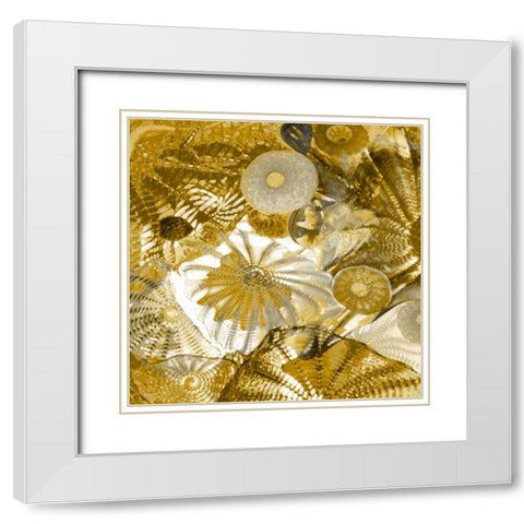 Underwater Perspective in Gold II White Modern Wood Framed Art Print with Double Matting by Carter, Charlie