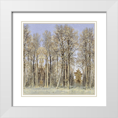 Entrance to the Woods White Modern Wood Framed Art Print with Double Matting by McKee, Christy