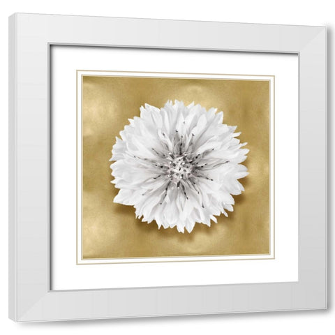 Pure IV White Modern Wood Framed Art Print with Double Matting by Kelly, Caroline
