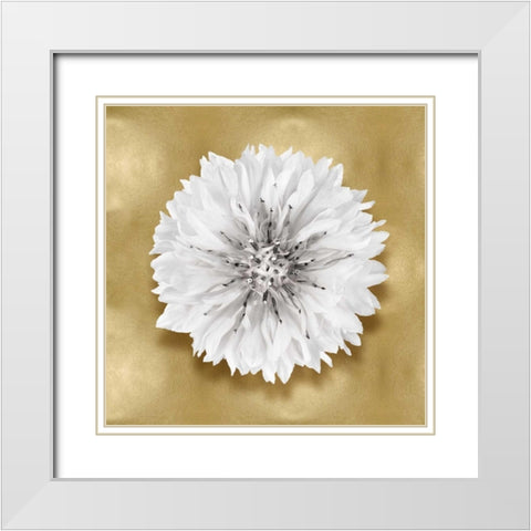 Pure IV White Modern Wood Framed Art Print with Double Matting by Kelly, Caroline